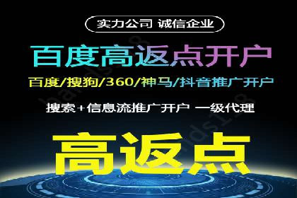 百度推广运营实战技巧：案例教学与实战演练